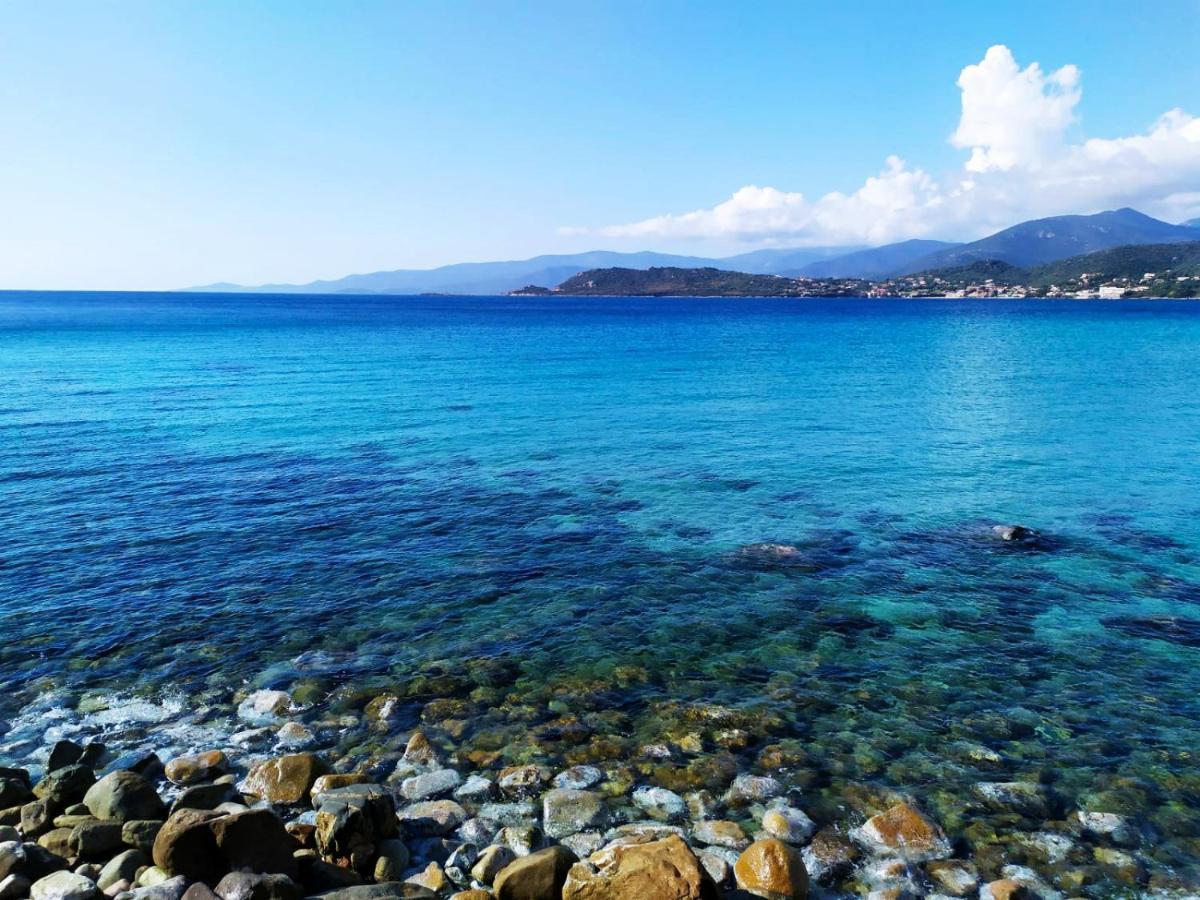 Narval Gris Daire Calcatoggio  Dış mekan fotoğraf