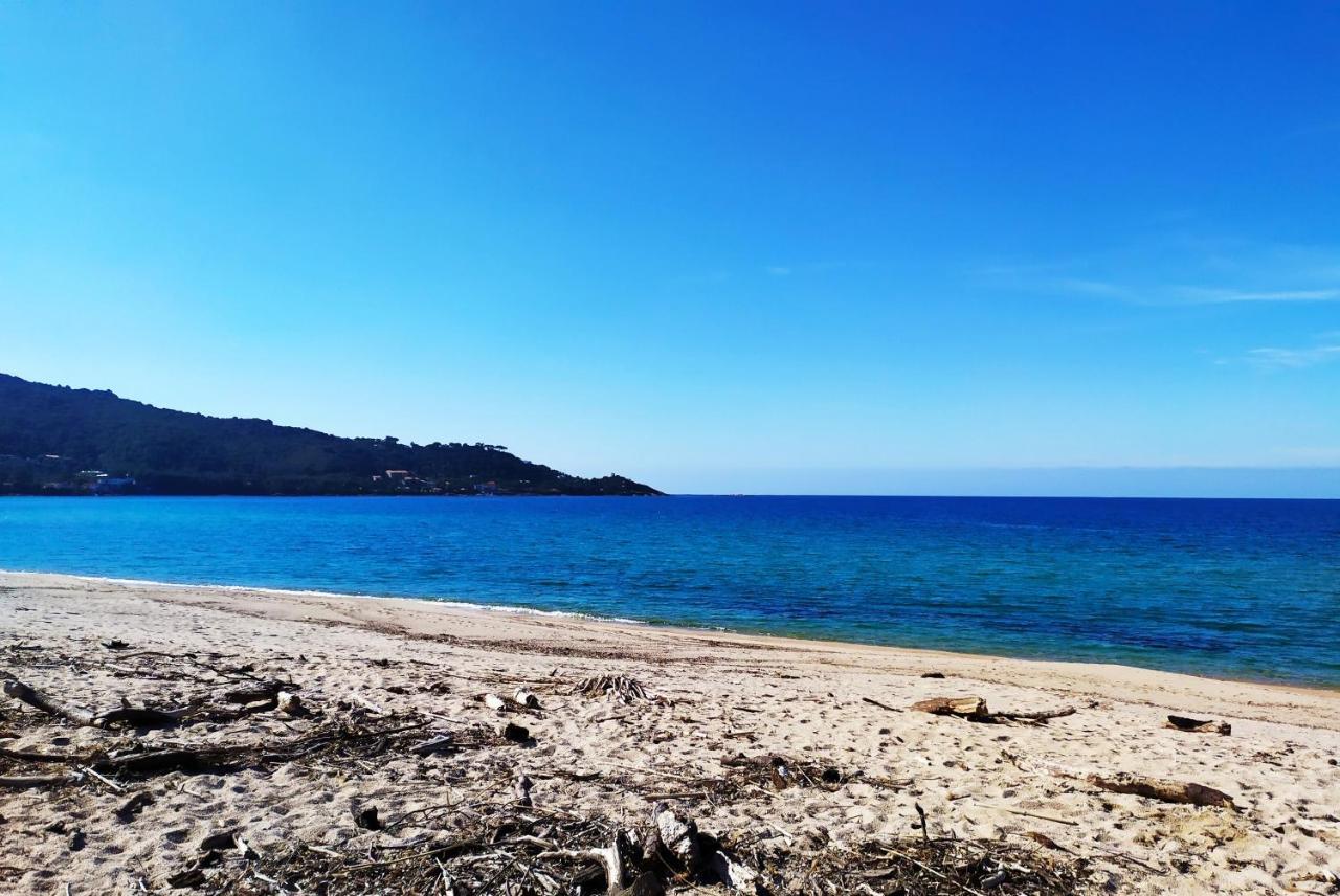 Narval Gris Daire Calcatoggio  Dış mekan fotoğraf